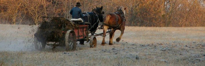 A photograph of a horse drawn wagon, full of horse manure, traversing a grassy field.